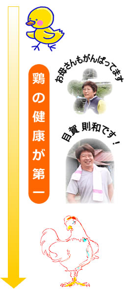 鶏の健康が第一